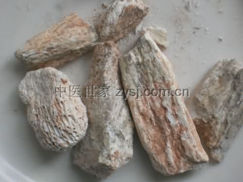 煅过的龙骨