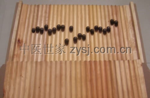 搓丸板成丸