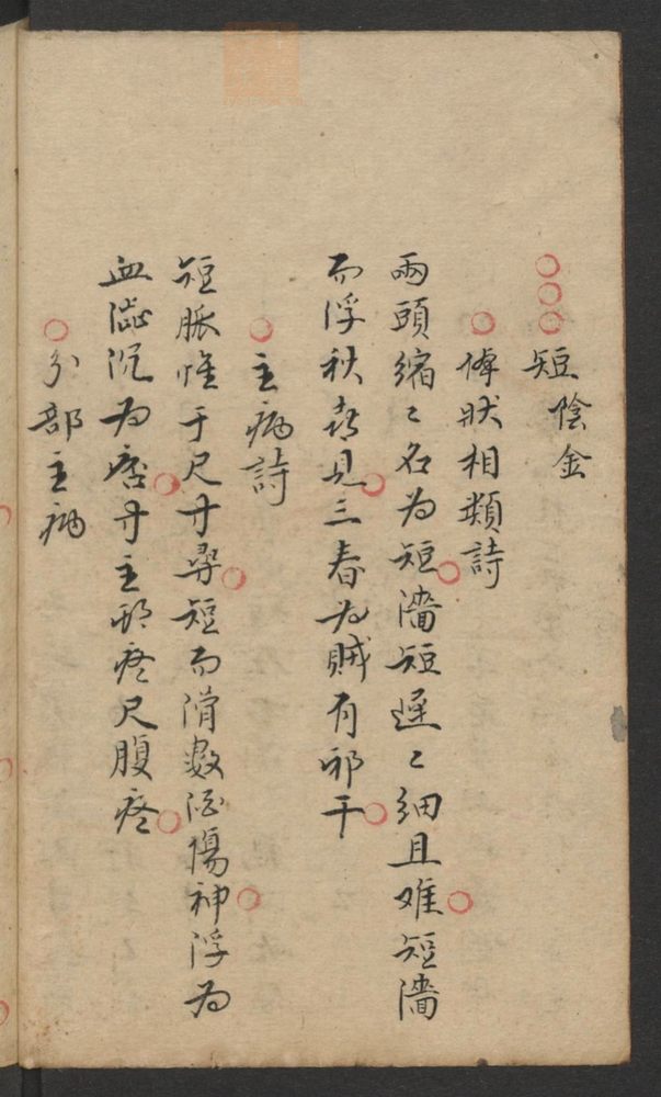 脉说(第36页)