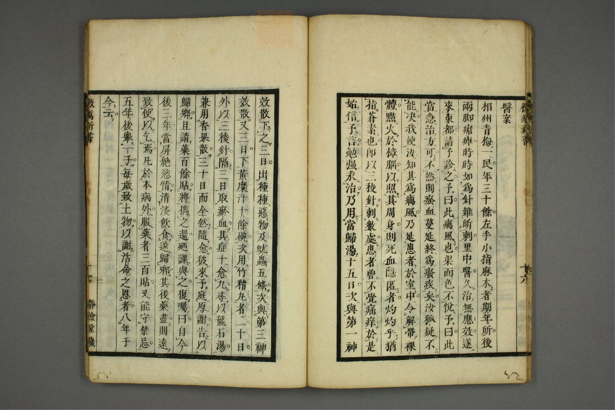 霉疠新书(第21页)