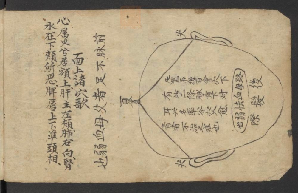 全抄小儿推拿广意(第14页)