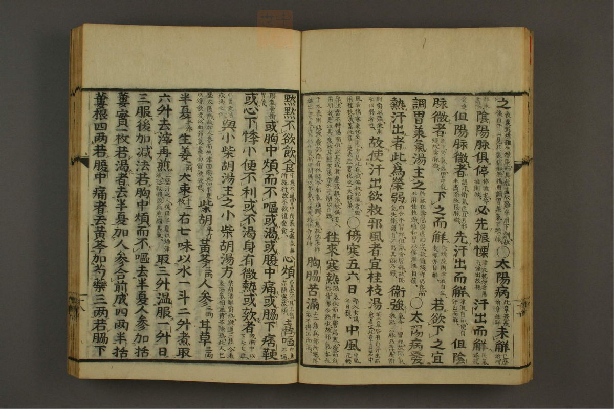 伤寒论分注(第21页)