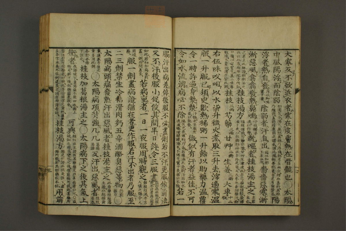 伤寒论分注(第6页)