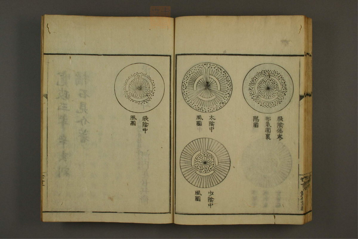 伤寒论分注(第74页)