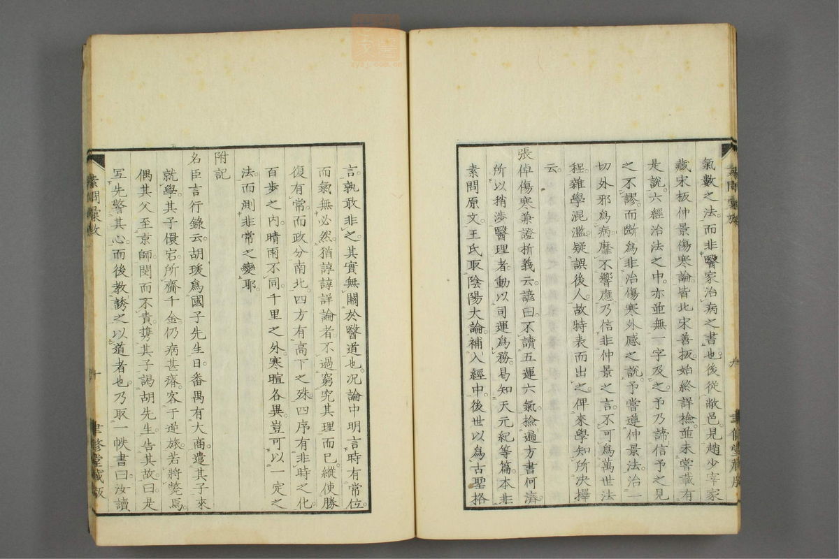 素问识(第17页)