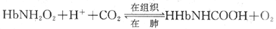 CO2在血液中的运输示意图