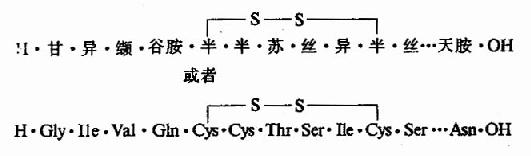 蛋白质分子中氨基酸的连接方式