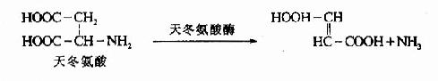 腺嘌呤核苷酸循环