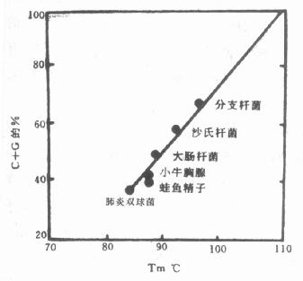 DNA和Tm值与G-C含量的关系