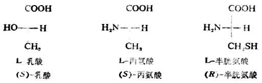 用费歇尔投影式确定R/S构型