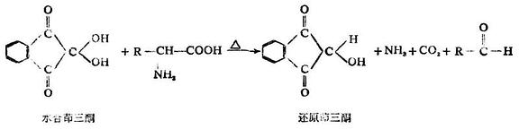 多肽