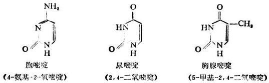嘧啶