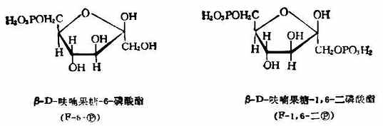 β-D-(-)-吡喃果糖 β-D-(-)-呋喃果糖